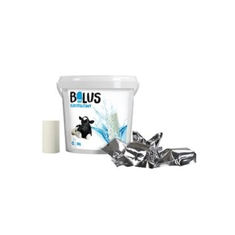Bolus Electrolyte (EFFERVESCENT TABLET) 10x50g Beperkt Aanbod