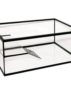 Lage Kosten Želvárium se souší obdelník Ante 50 x 30 x 18 cm