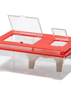 Shop Nu Faunárium plast Geo Flat Large, Ferplast 46,7 x 30,5 x 17,5 cm (4l)