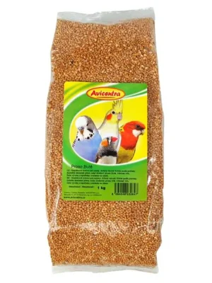 Beperkte Voorraad Proso žluté Avicentra 1 kg