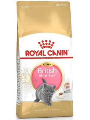 Royal Canin Feline BREED Kitten Br. Shorthair 2 kg Gereduceerde Prijs