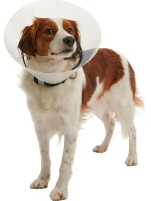 Uitverkoop Límec Buster - clic collar 25cm 273485