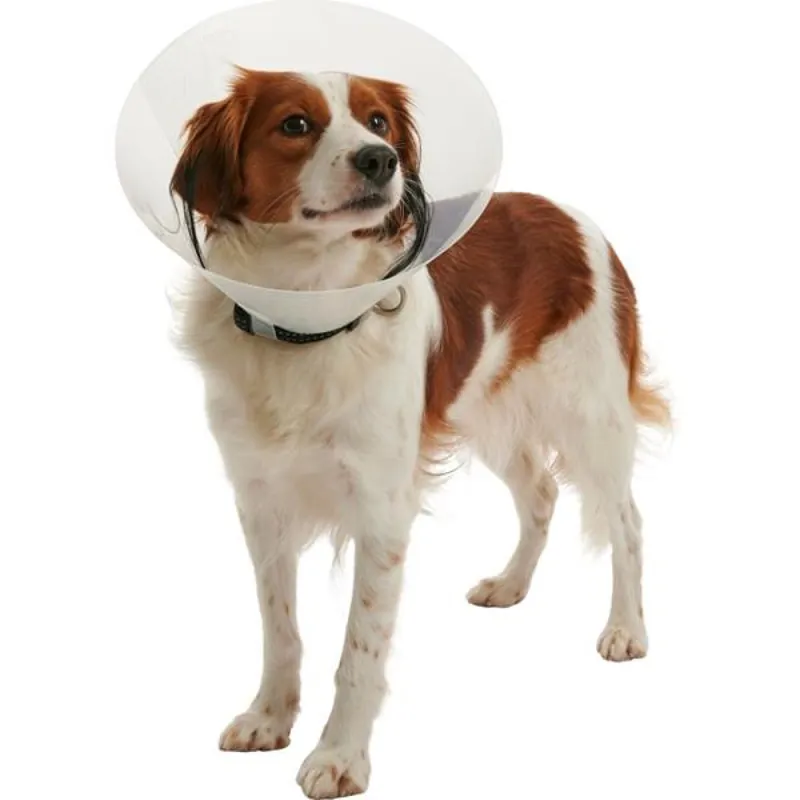 Límec Buster - clic collar 15cm 273483 Direct Verzonden