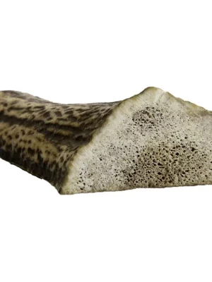 Laatste Versie Jelení paroh dělený mini 40-60g