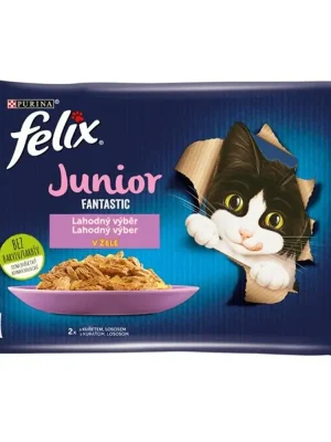 Felix cat kaps.-Fant.Multipack Junior v želé 4 x 85 g Meest Verkocht