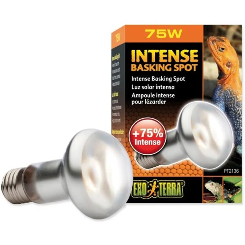 Populair Žárovka terarijní Intense Basking Spot 75W ExoTerra