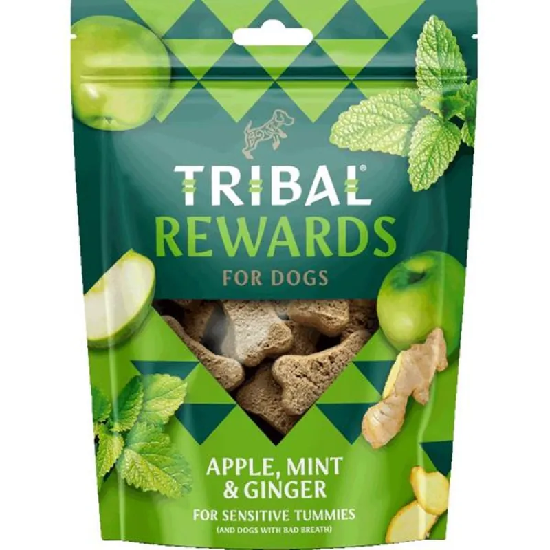 Laatste Versie TRIBAL Rewards Snack Apple, Mint & Ginger 125 g