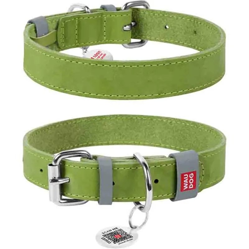 Obojek kůže 15mmx27-36cm WAUDOG zelený Koopje