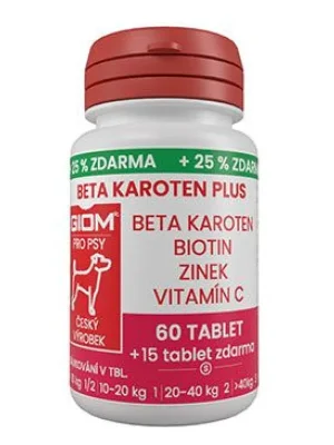 Betrouwbaar Giom S pes Beta-karoten plus 60 tbl+25% zdarma