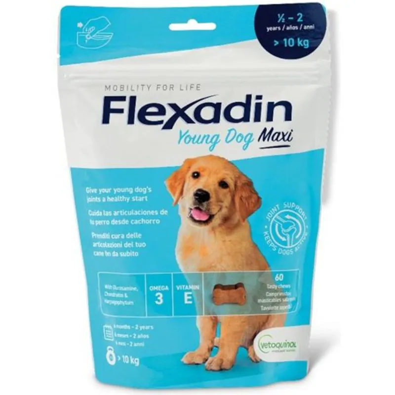 Flexadin Young Dog Maxi žvýkací 60tbl Express Levering
