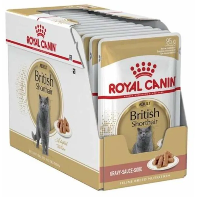 Nieuw Royal Canin - Feline kaps. BREED British Shorthair 12x85 g