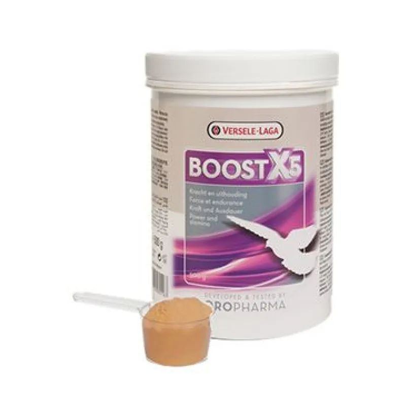 VL Oropharma Boost X5 500g Shop Nu