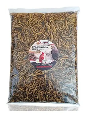 Gratis Retour Apetit sušená Bráněnka Black Soldier 500g