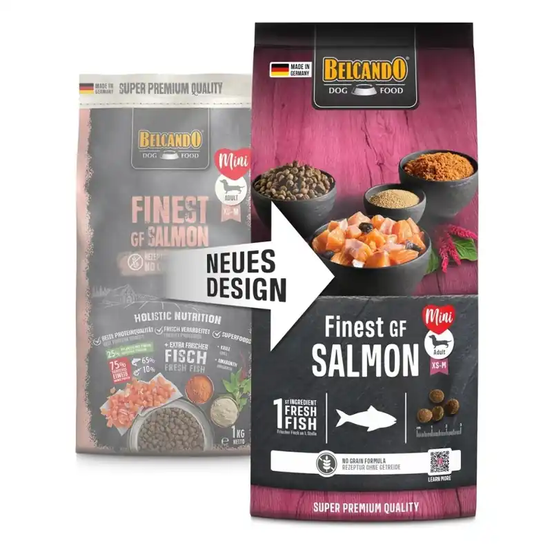 Lage Kosten BELCANDO Finest Grain Free Salmon 12,5 kg Bezobilné granule pro psy UPejska.cz