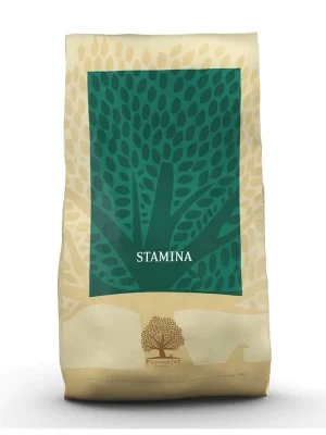 ESSENTIAL FOODS Stamina 10 kg Direct Verzonden