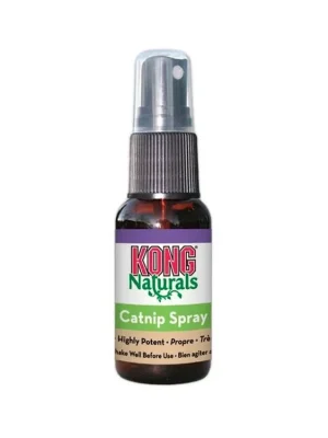 KONG - Catnip spray, 30 ml Beste Prijs