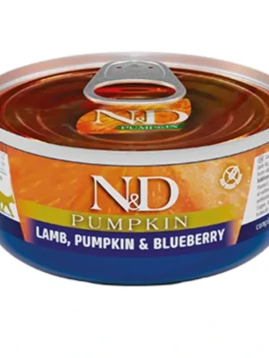 Flitsaanbieding N&D Cat Pumpkin konzerva 70 g - jehně & dýně a borůvky