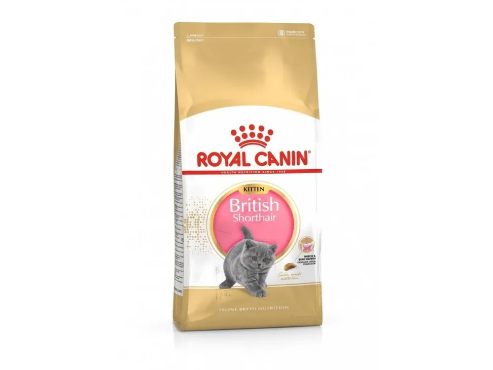 Beperkt Aanbod Royal Canin Kitten British Shorthair 10 kg