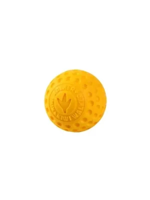 Seizoensaanbieding Hračka pes BALL MAXI plov. z TPR oranžová Kiwi