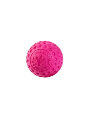 Hračka pes BALL MAXI plov. z TPR růžová Kiwi Merkproduct