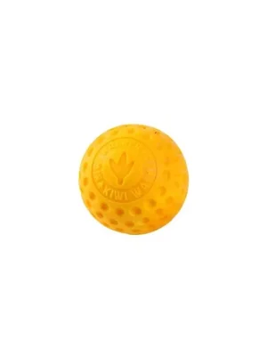 Gratis Retour Hračka pes BALL MINI plov. z TPR oranžová Kiwi