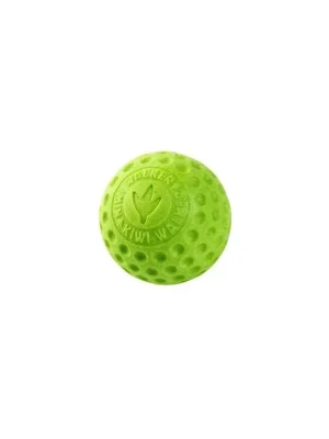 Hračka pes BALL MINI plov. z TPR zelená Kiwi Lage Kosten