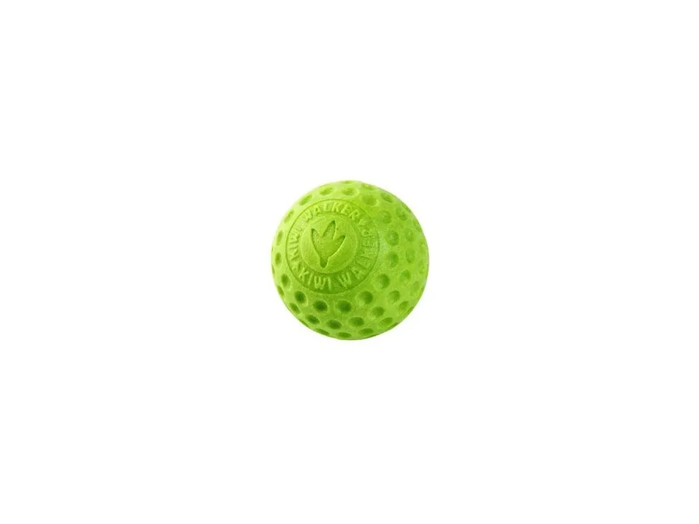 Hračka pes BALL MINI plov. z TPR zelená Kiwi Lage Kosten