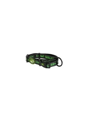 Laatste Versie Obojek nylon 42-55/2,5cm zelená Kiwi
