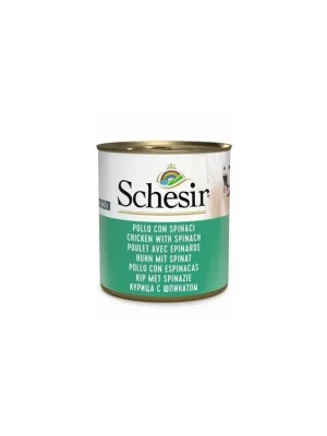 Korting Schesir Dog konz. Adult kuře/špenát 285g