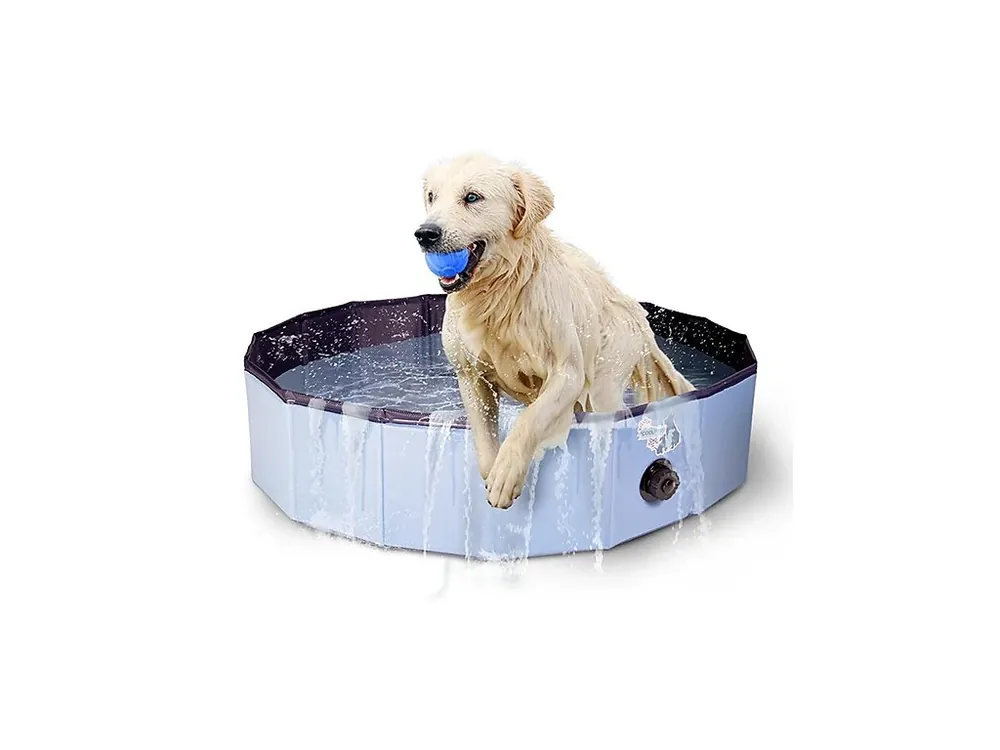 Koop Vandaag CoolPets bazének Dog Pool S (80x20cm)