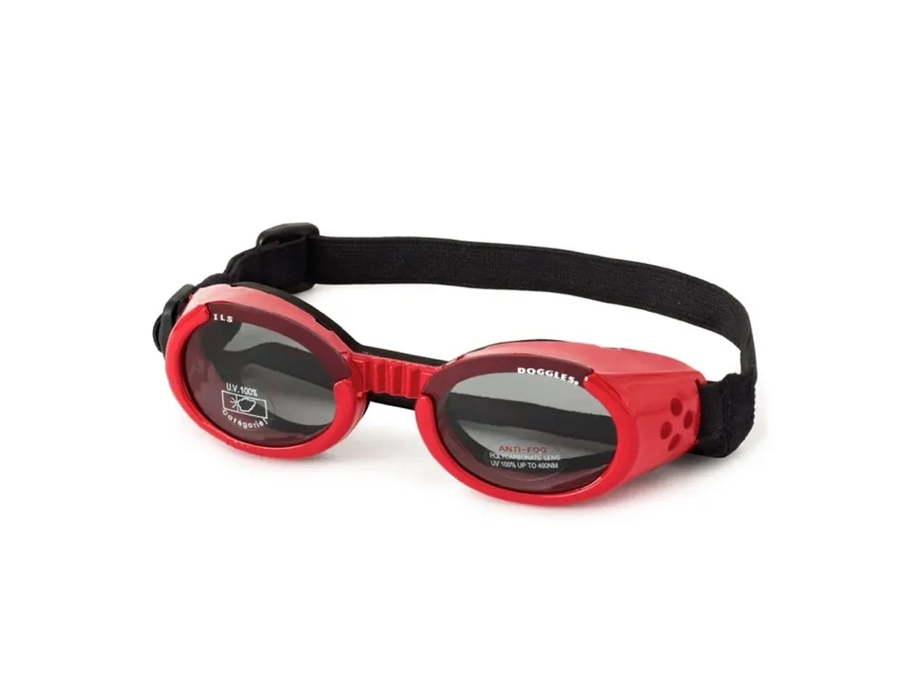 Doggles ILS - Sluneční a ochranné brýle pro psy Red M Fabrieksprijs