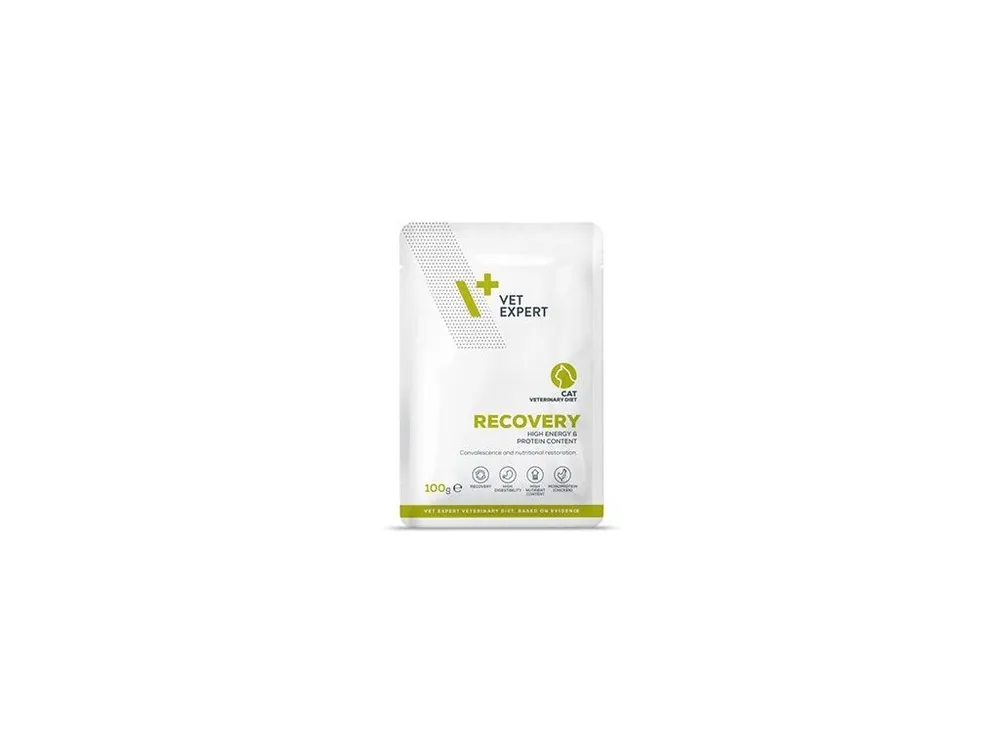 VetExpert VD 4T Recovery Cat kapsa 100g Laatste Kans