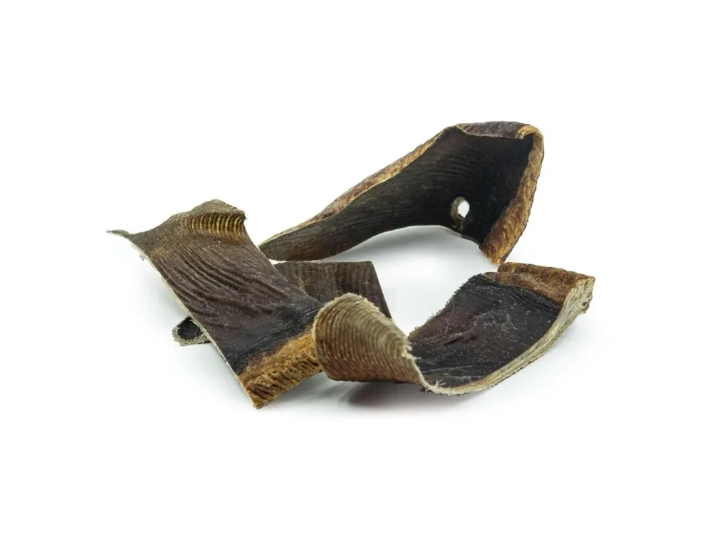 Bestseller RAW RAW Sea Snacks Rejnok ploutve 100g