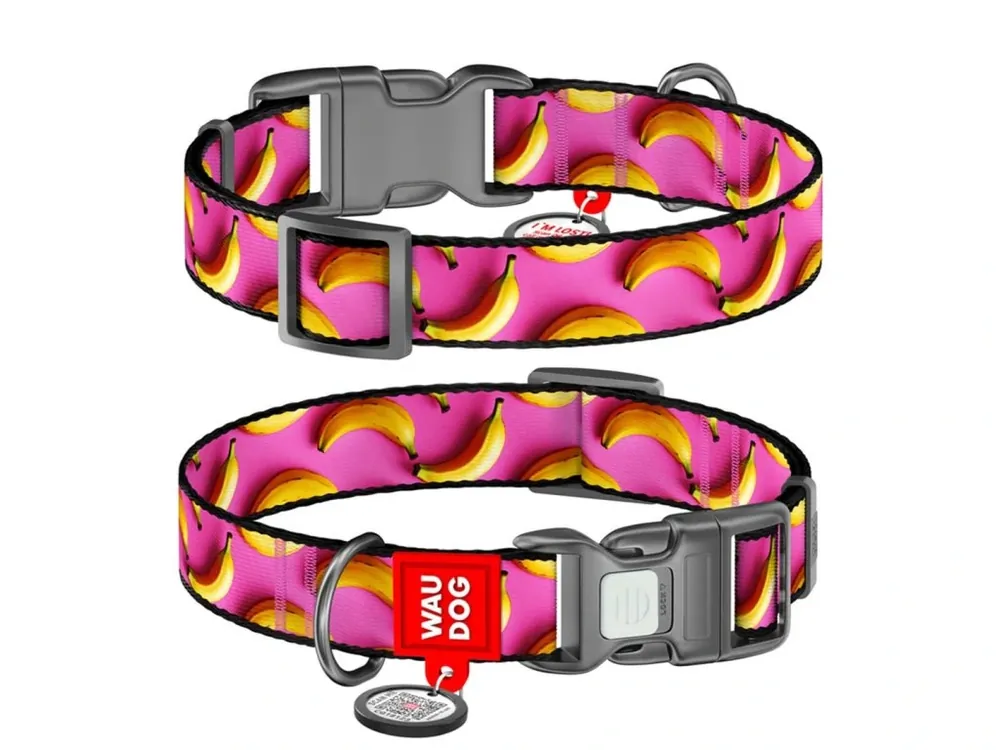 Rechtstreeks Van De Fabrikant WAUDOG obojek nylon Banány QR (L/33-49cm/2,5cm)
