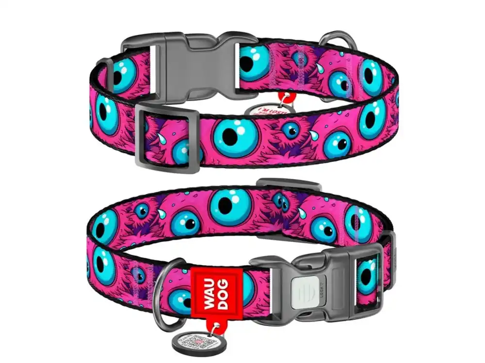 Shop Nu WAUDOG obojek nylon Modroočko QR (M/28-40cm/2cm)