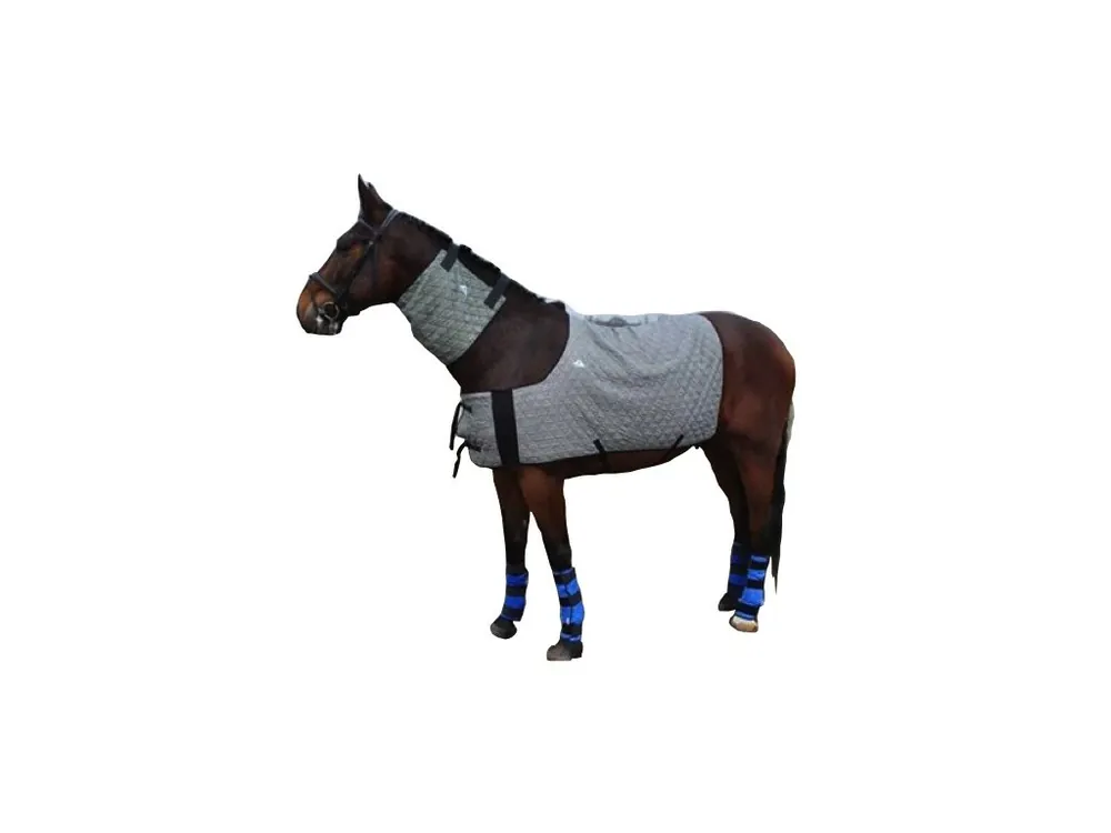 Chladící nákrčník pro koně HyperKewl Horse Neck šedý / M Beste Prijs