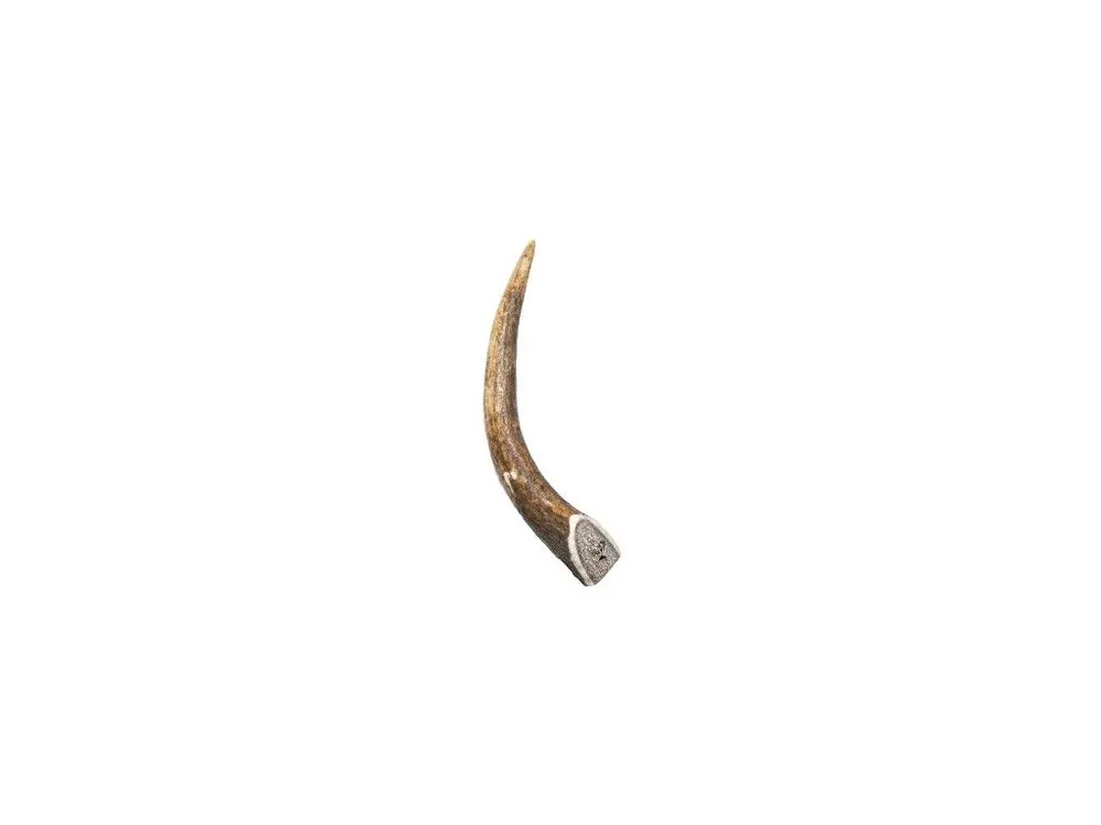 Koop Online Pochoutka paroží Jelen 40-70g