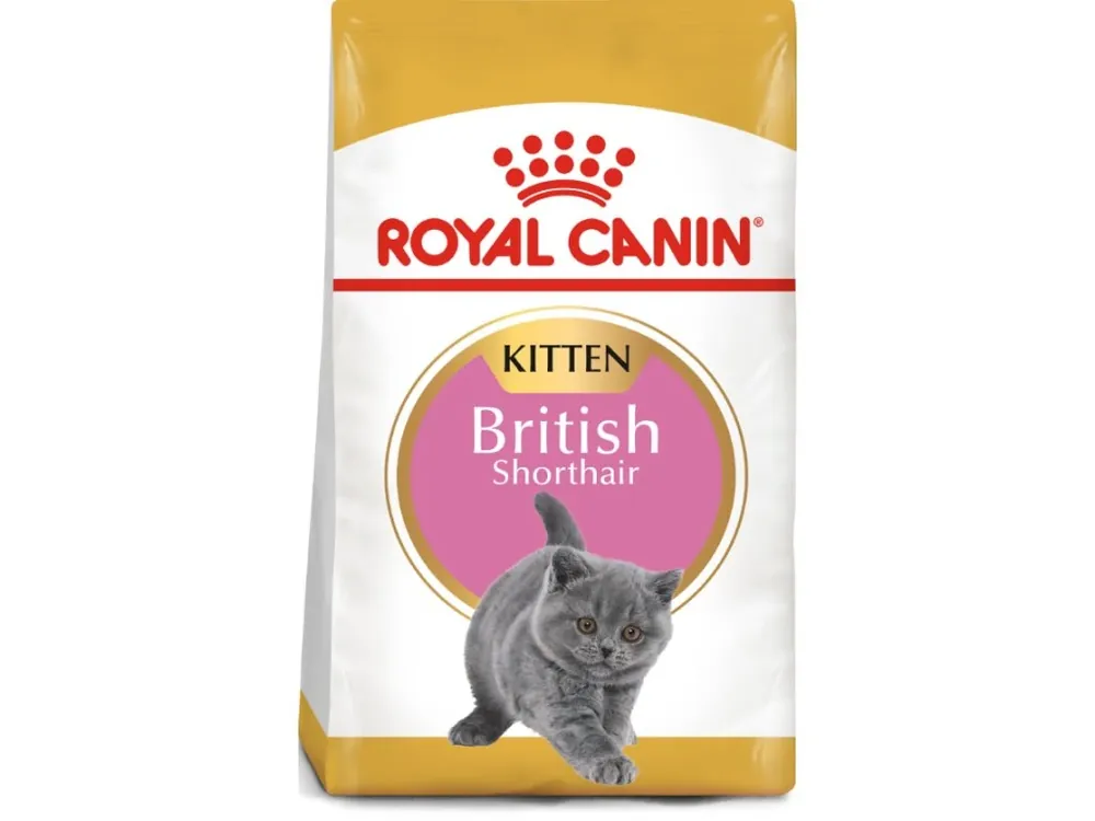 Tijdelijk Beschikbaar Royal Canon Cat British Shorthair Kitten - 400g