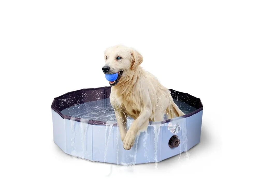 Tijdelijk Beschikbaar CoolPets bazének Dog Pool M (100x30cm)