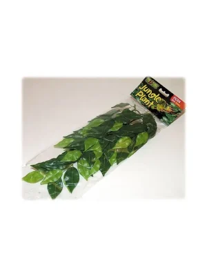 Rostlina EXO TERRA Ficus malá 40 cm Direct Verzonden