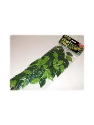 Rostlina EXO TERRA Ficus střední 55 cm Laatste Kans