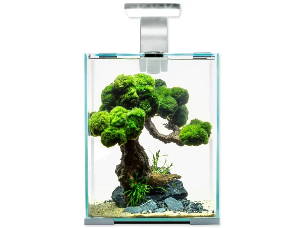 Weekendaanbieding Akvárium set AQUAEL SHRIMP Day & Night 20, 19l