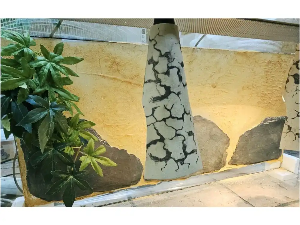 Terarium 128 l 80x40x40 cm s pozadím + 2 světla Meest Verkocht