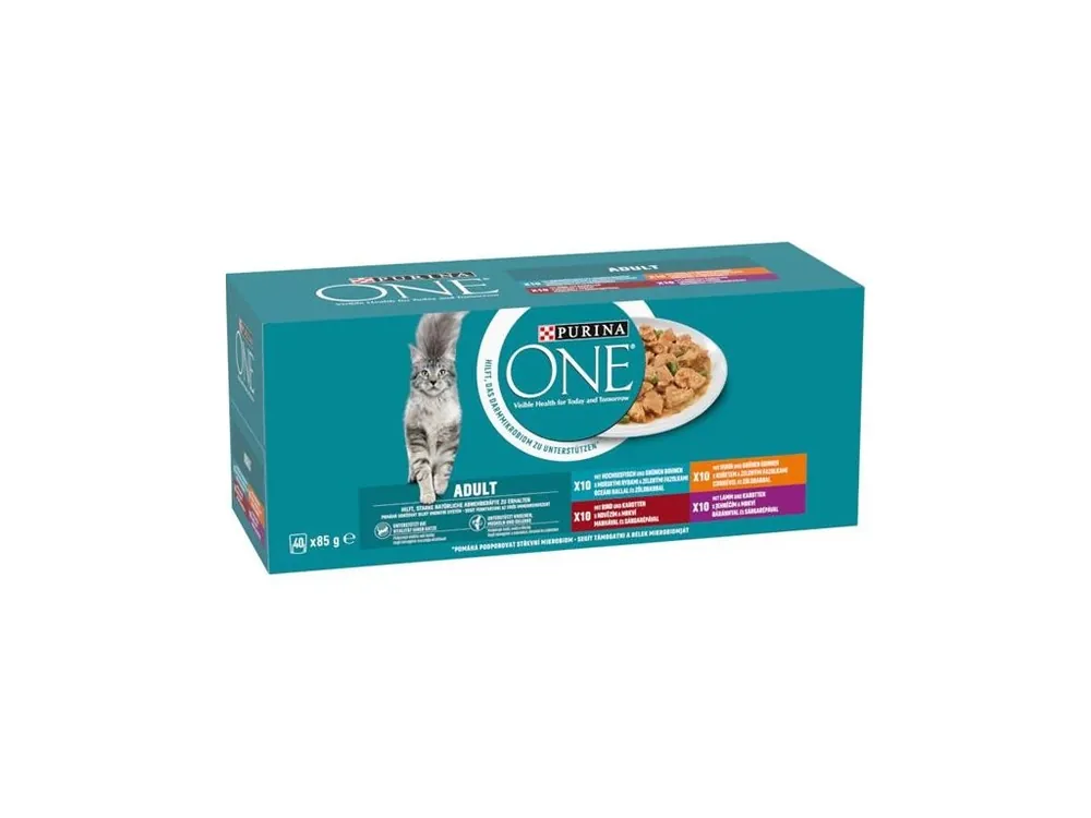 Nu Kopen Purina ONE Adult minifiletky jehně mořské ryby kuře hovězí ve šťávě 40 x 85 g