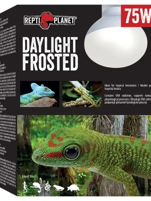 Nu Kopen Repti Planet žárovka Daylight Frosted 75W