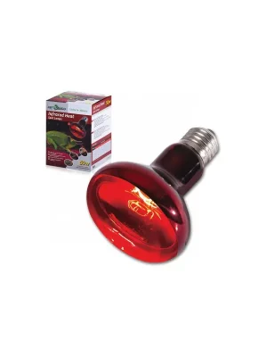 ReptiZoo Infračervená žárovka, 50W Dagaanbieding
