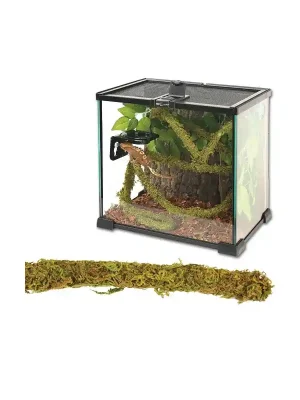 ReptiZoo Jungle Vines 1x200cm Lage Kosten