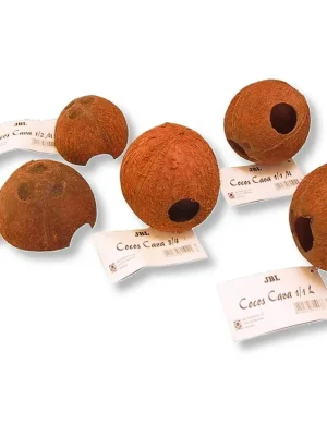 Koop Vandaag JBL Cocos Cava 1/1 L