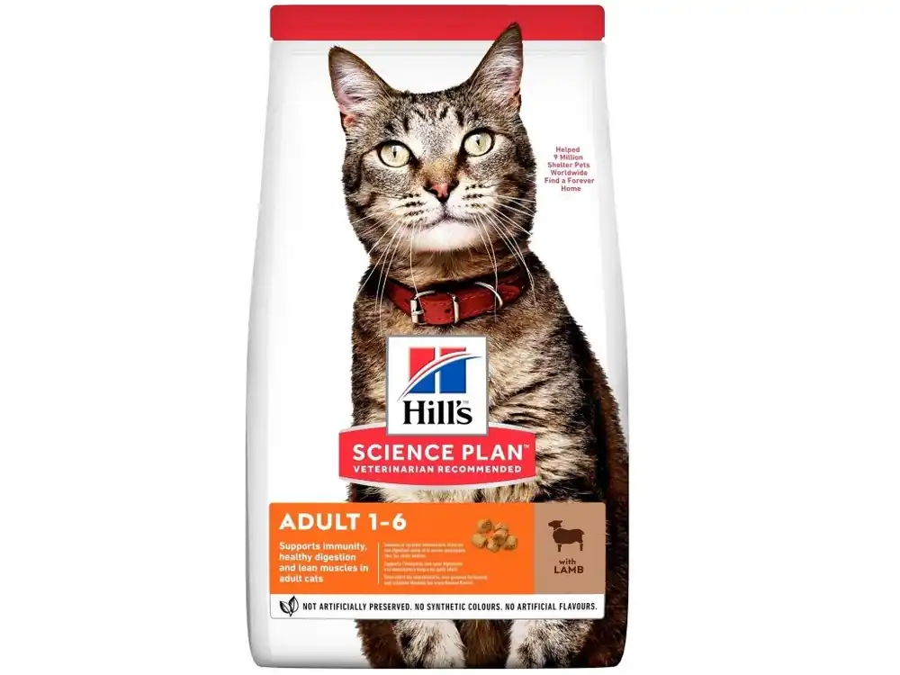 Hill‘s Science Plan Feline Adult Lamb & Rice 10kg Direct Beschikbaar