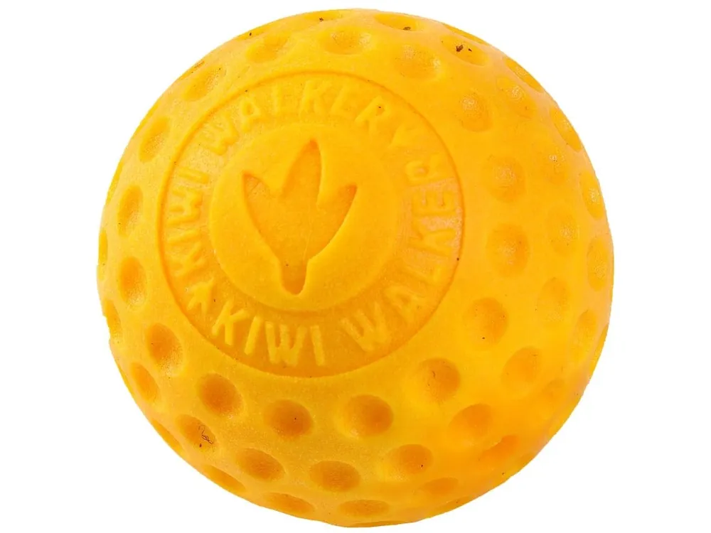 Hračka pes BALL MINI plov. z TPR oranžová Kiwi Voordeelprijs